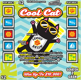 Cool Cat