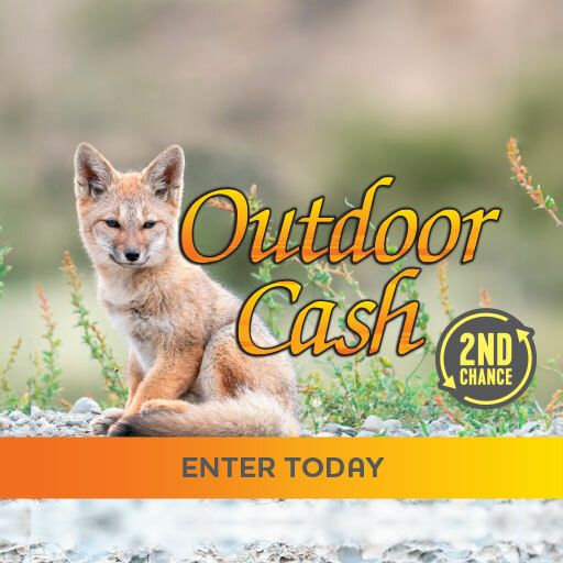 Outdoor Cash